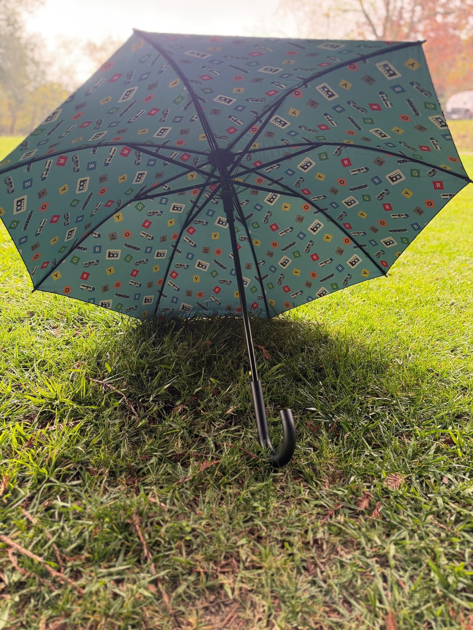 BART Umbrella