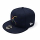 BART System Map Flex Cap