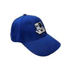 BARTy Youth Cap