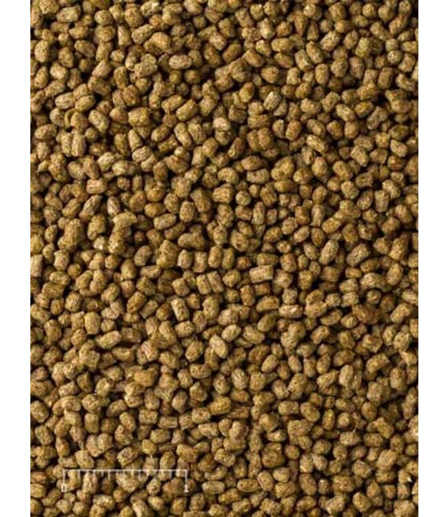 Mazuri Mazuri Small Tortoise LS  8oz.