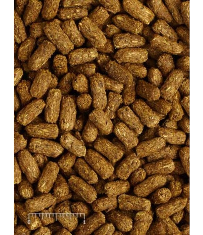 Mazuri Mazuri Tortoise LS 12oz