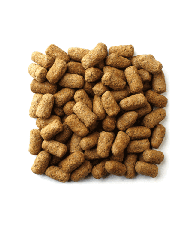 Mazuri Mazuri Tortoise 25 lbs.