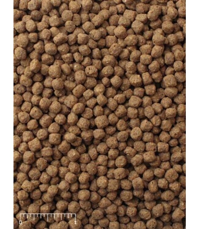 Mazuri Mazuri Koi Platinum Nuggets