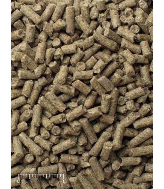 Mazuri Mazuri Mini Pig Mature Maint. 25 lbs.