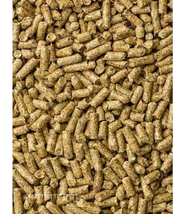 Mazuri Mazuri Timothy-Based Guinea Pig Diet 25#