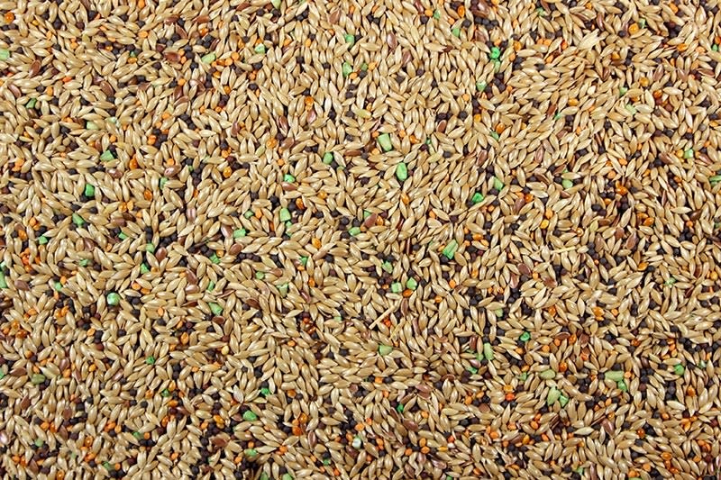 Canary Roller Plus Waimanalo Feed Supply