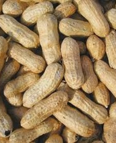 Peanuts, Whole