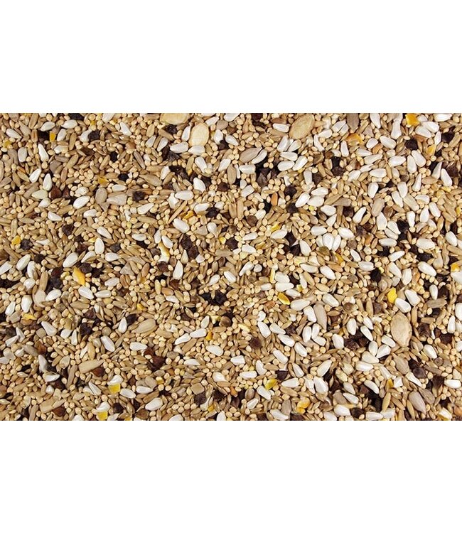 Royal Small Hookbill Mix