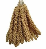 Royal Millet Spray