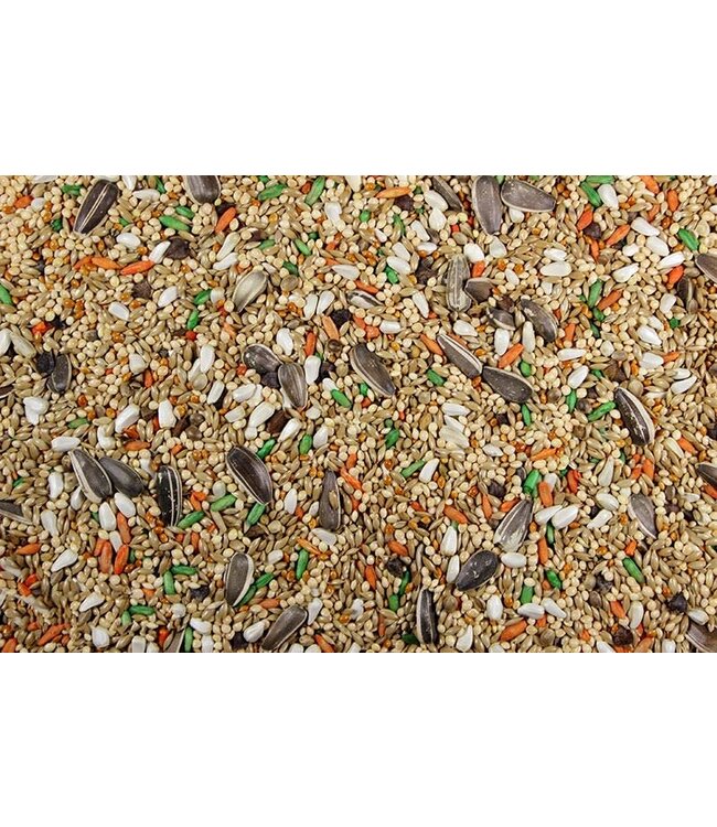 Royal Cockatiel Plus