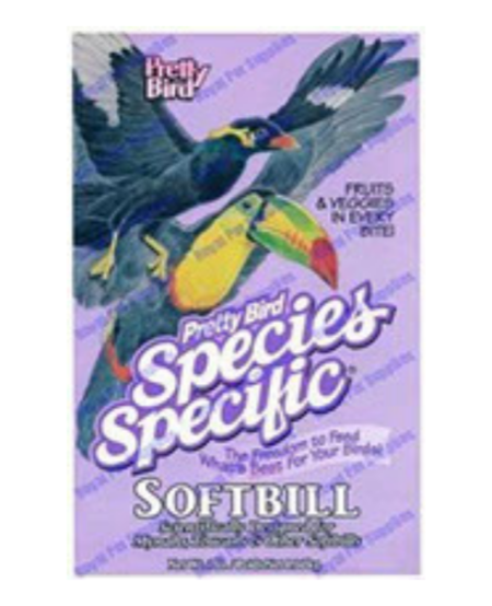 Pretty Bird Softbill