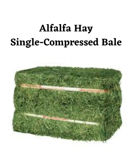 Alfalfa Hay,  Full Bale ~95 lbs.