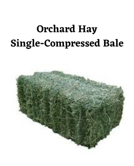 Orchard Hay, Full Bale
