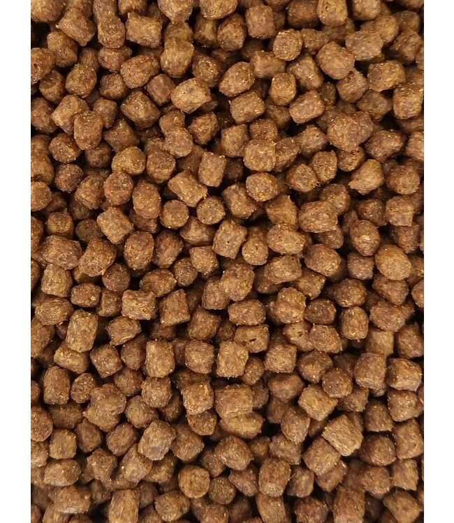 Ultra Rainbow Koi Food