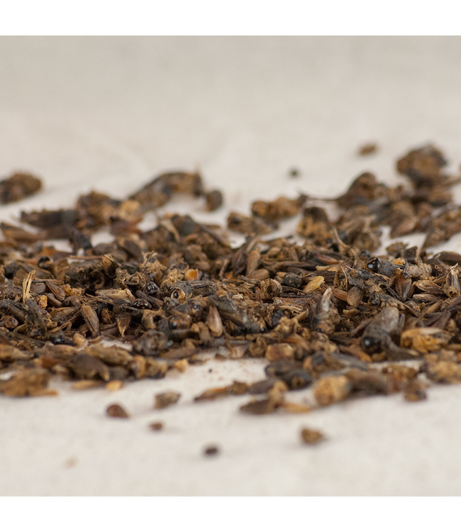 Happy Hen Cricket Craze 5 oz.