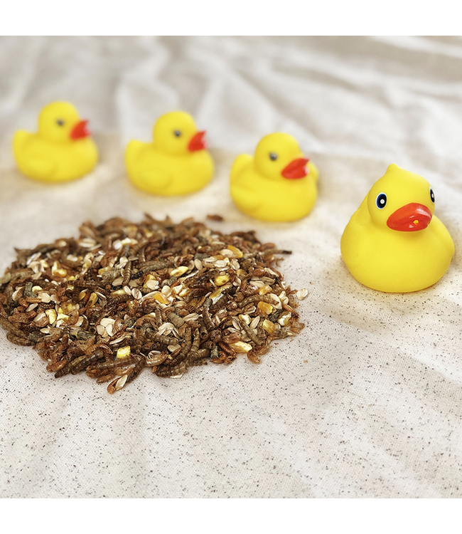 Happy Hen Duck Pond Medley 2#