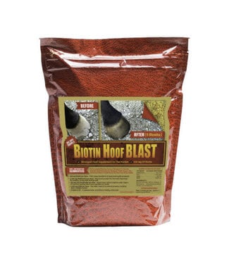 Horse Guard Biotin Hoof Blast 5 lbs.