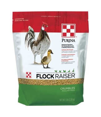 Purina Flock Raiser Crumble 5 lbs.