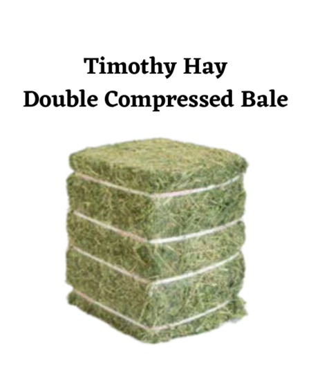 Timothy Hay, Double Compressed