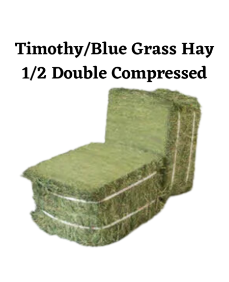 Mini Hay Bale - TIMOTHY BLUE BLEND