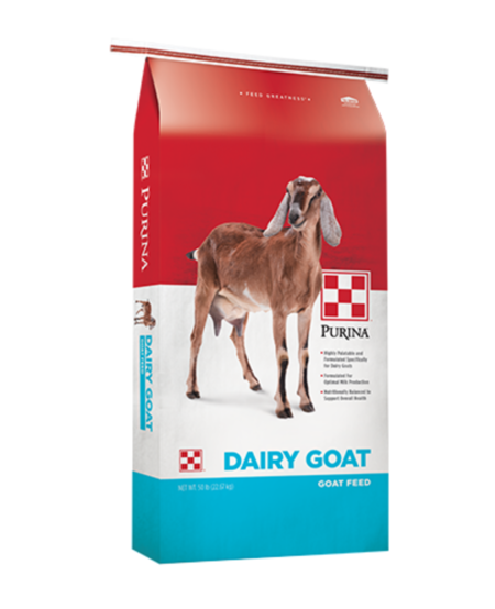 Purina Dairy Goat Parlor 16 50#