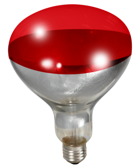 LG Heat Brooder Lamp Bulb Red