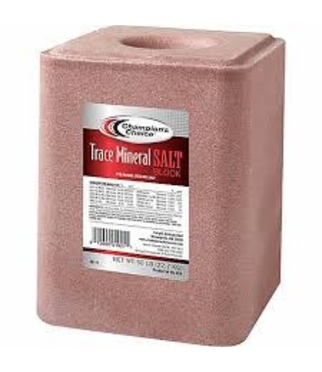 Salt Block Mineral 50 lbs.