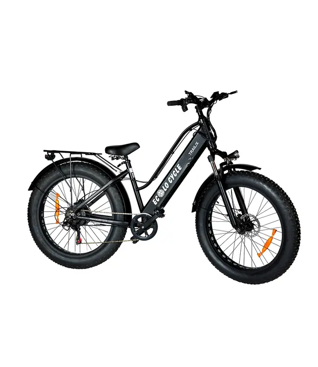 ECOLO CYCLE Fat bike noir 48V  500W TRAILX