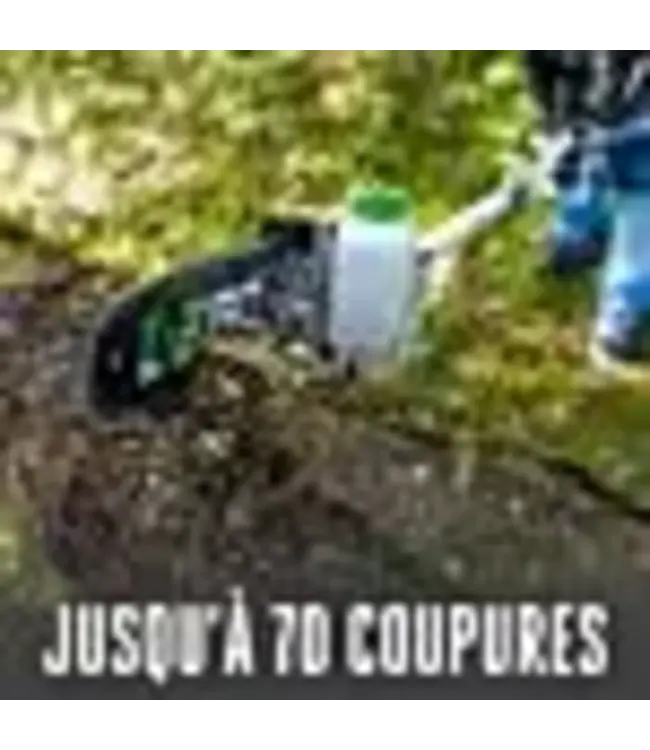 EGO MPS1001 ÉMONDOIR 10'' MULTI (BATT. 5AH ET CHARGEUR RÉGULIER)