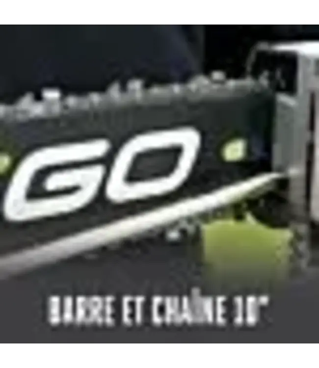 EGO PSA1000 ÉMONDOIR (ACCESSOIRE POUR PH1420-PH1400)