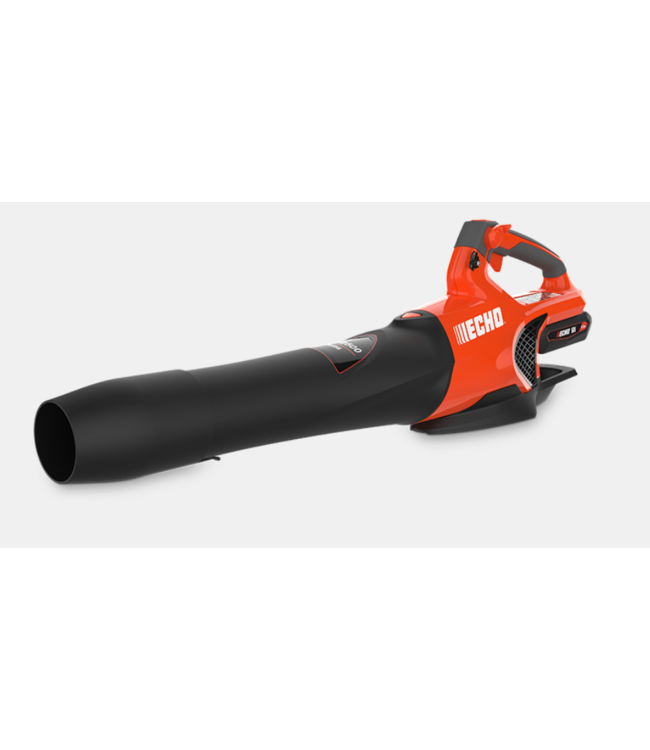 ECHO DPB-2500C1 SOUFFLEUR A FEUILLE ECHO