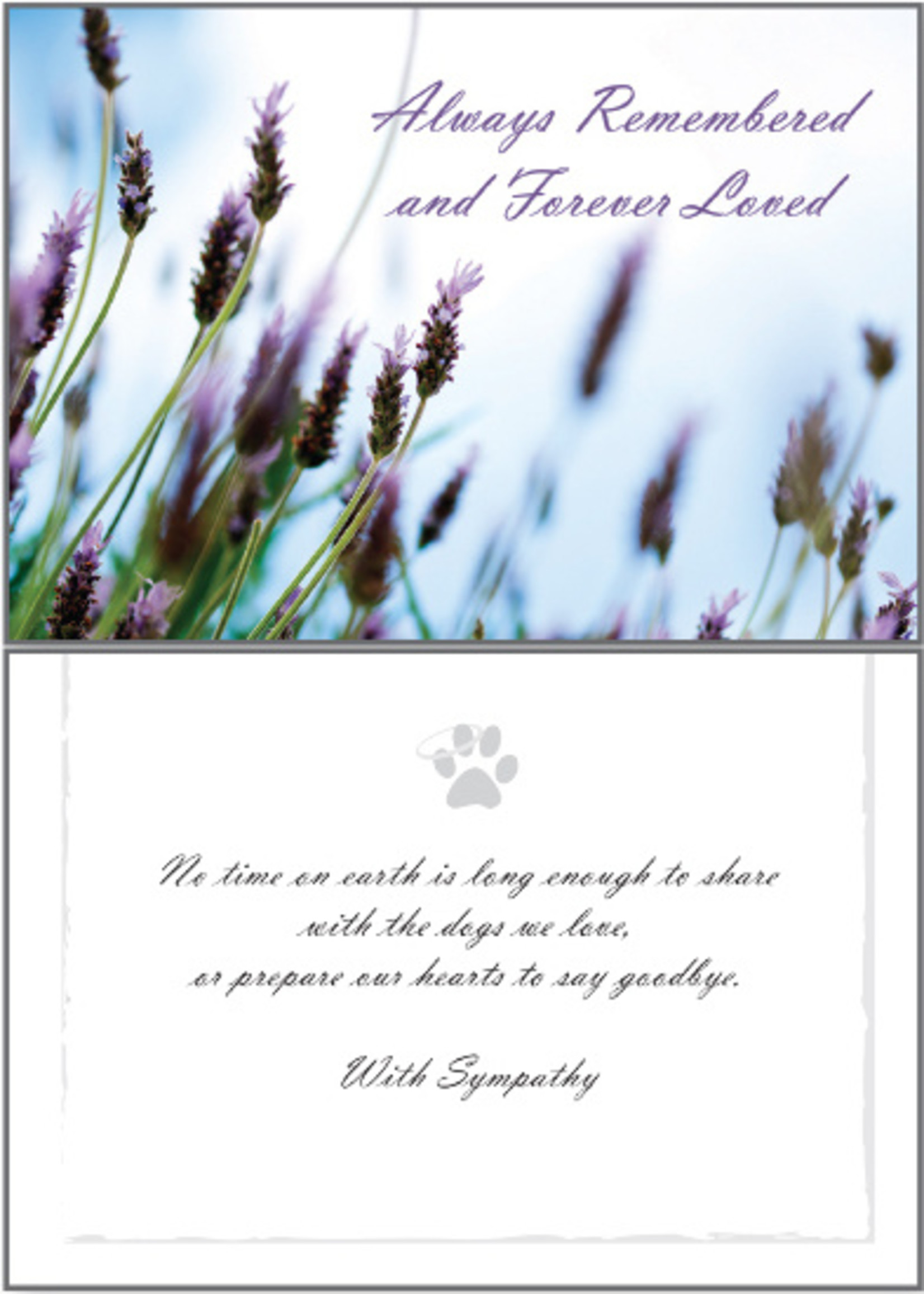 Dogs Always Remembered Sympathy Greeting Card