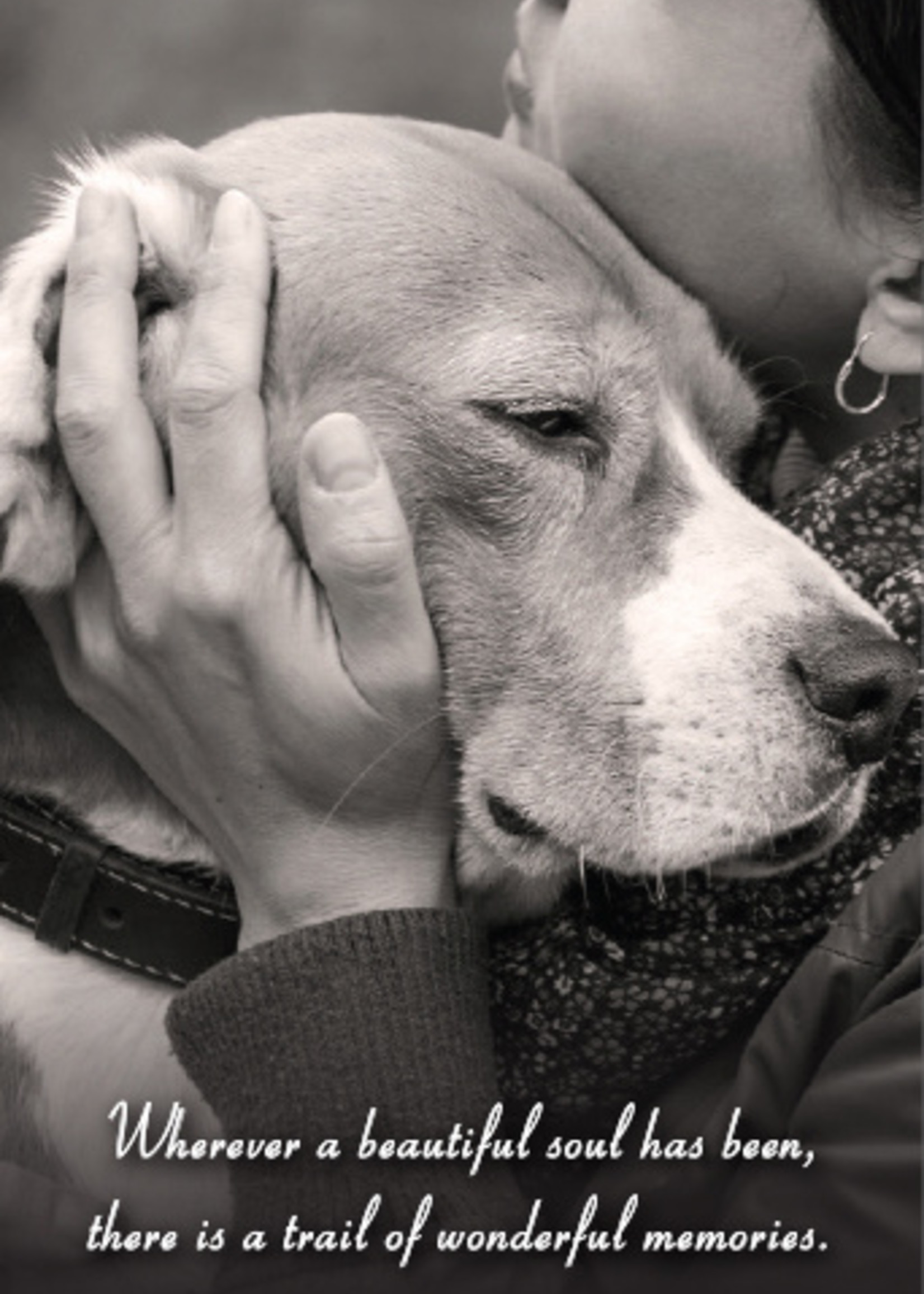 Dog Sympathy Card