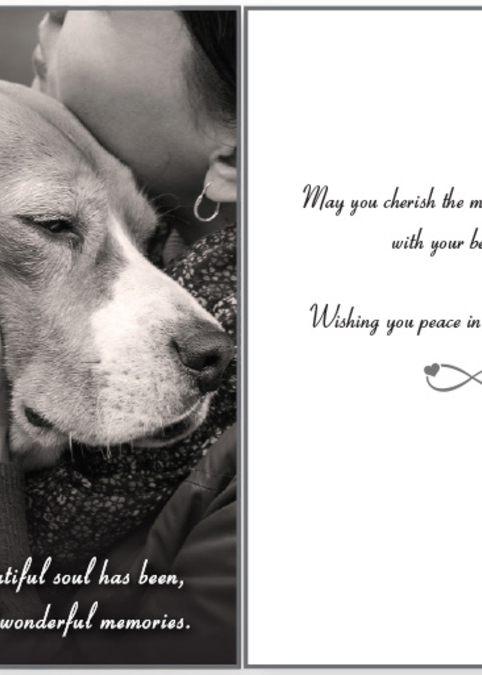 Dog Sympathy Card