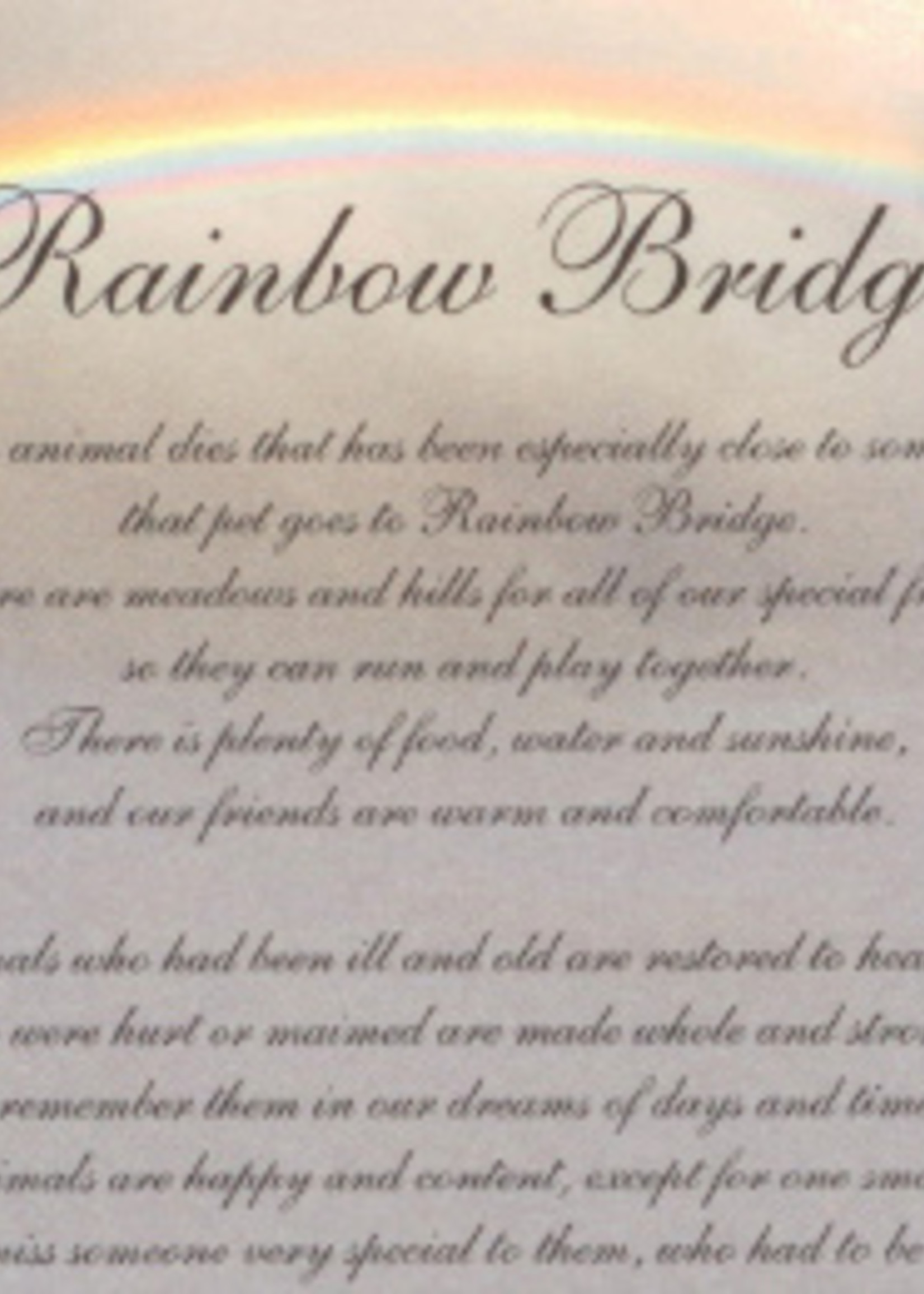 Rainbow Bridge Sympathy Card