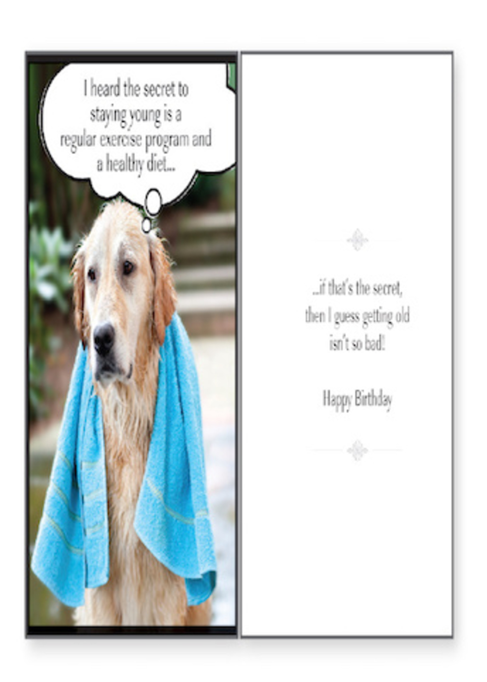 Regular Exercise Dog Birthday Card
