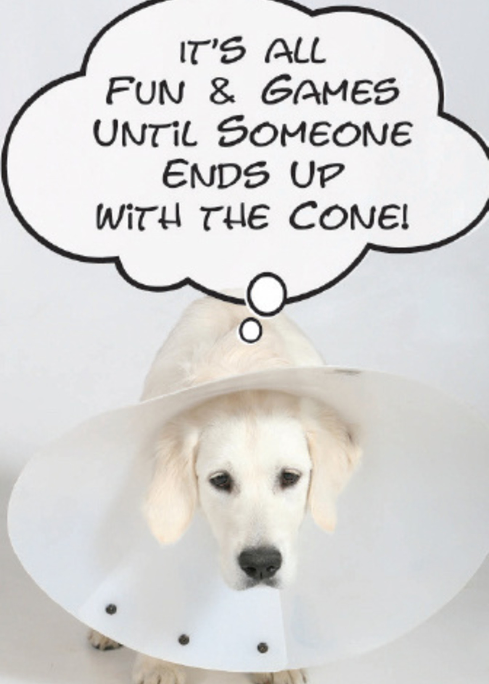 Dog In A Cone Birthday Card