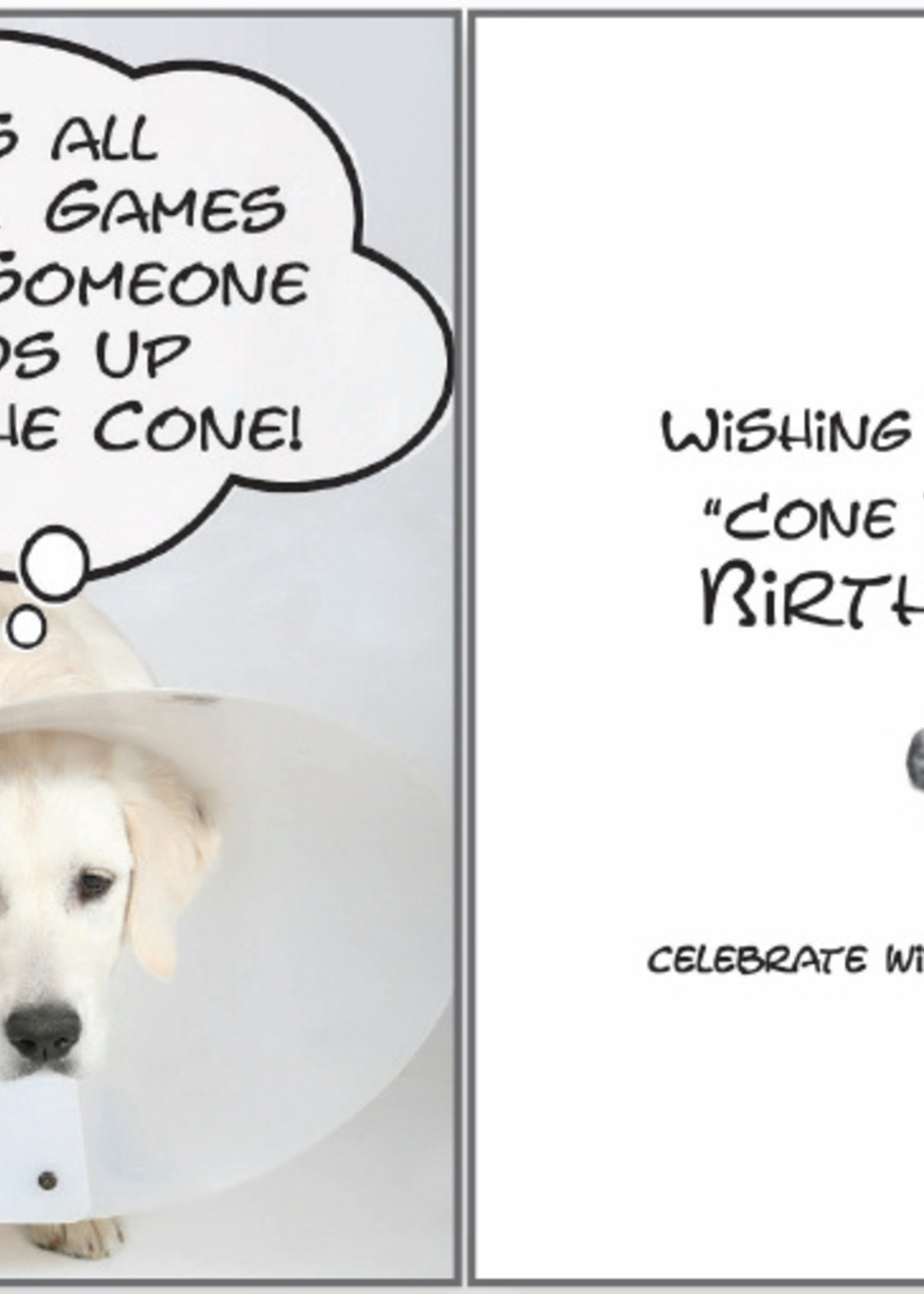 Dog In A Cone Birthday Card