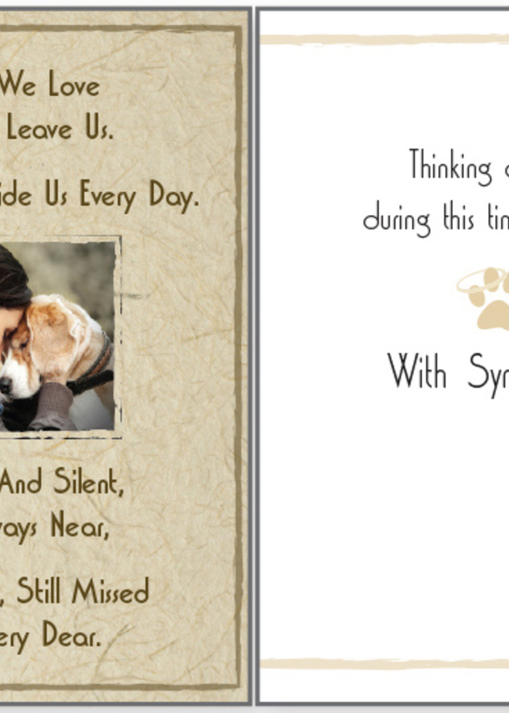 Dog With Sympathy Greeting Card