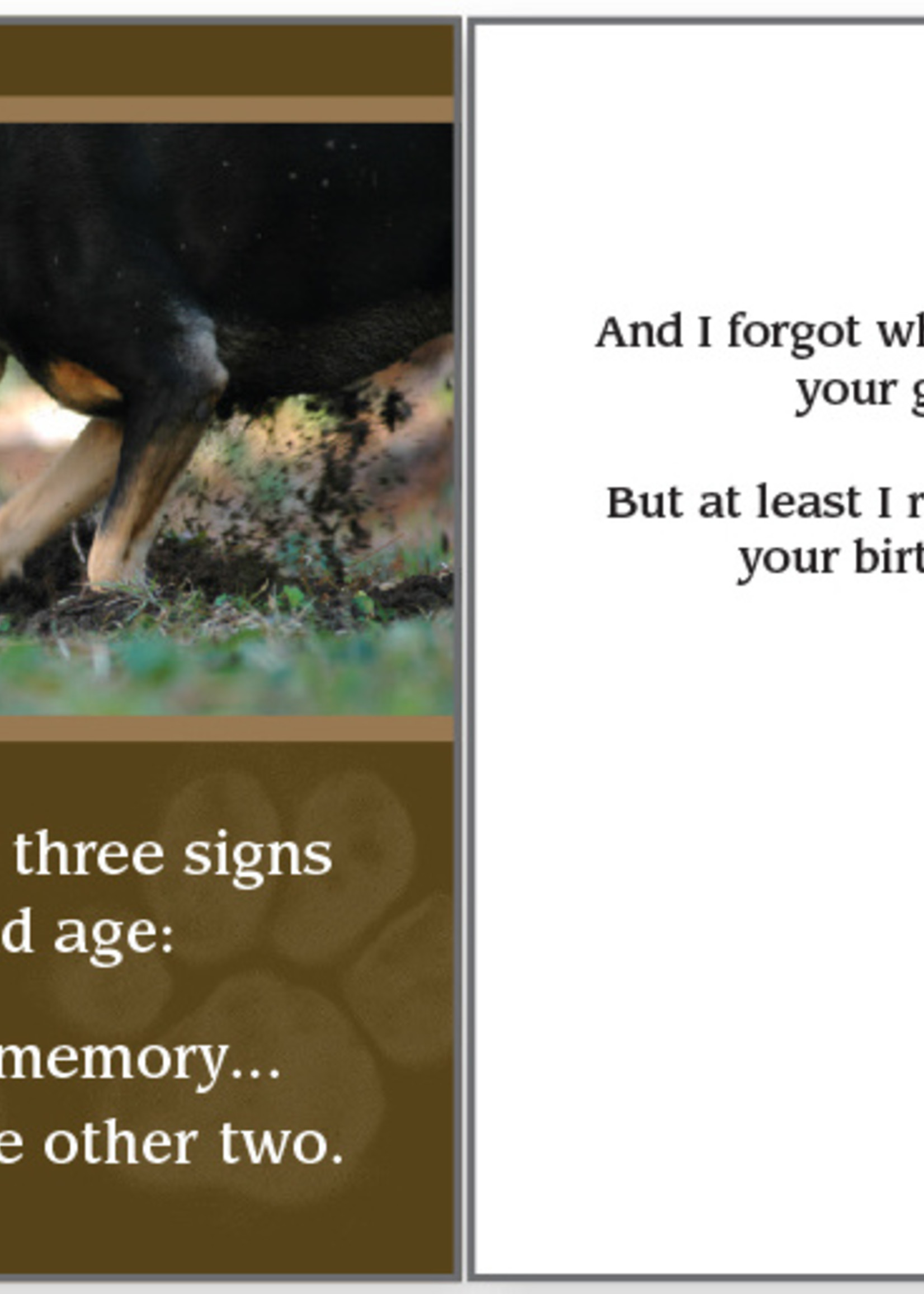 Dog Digging For Gift Birthday Card