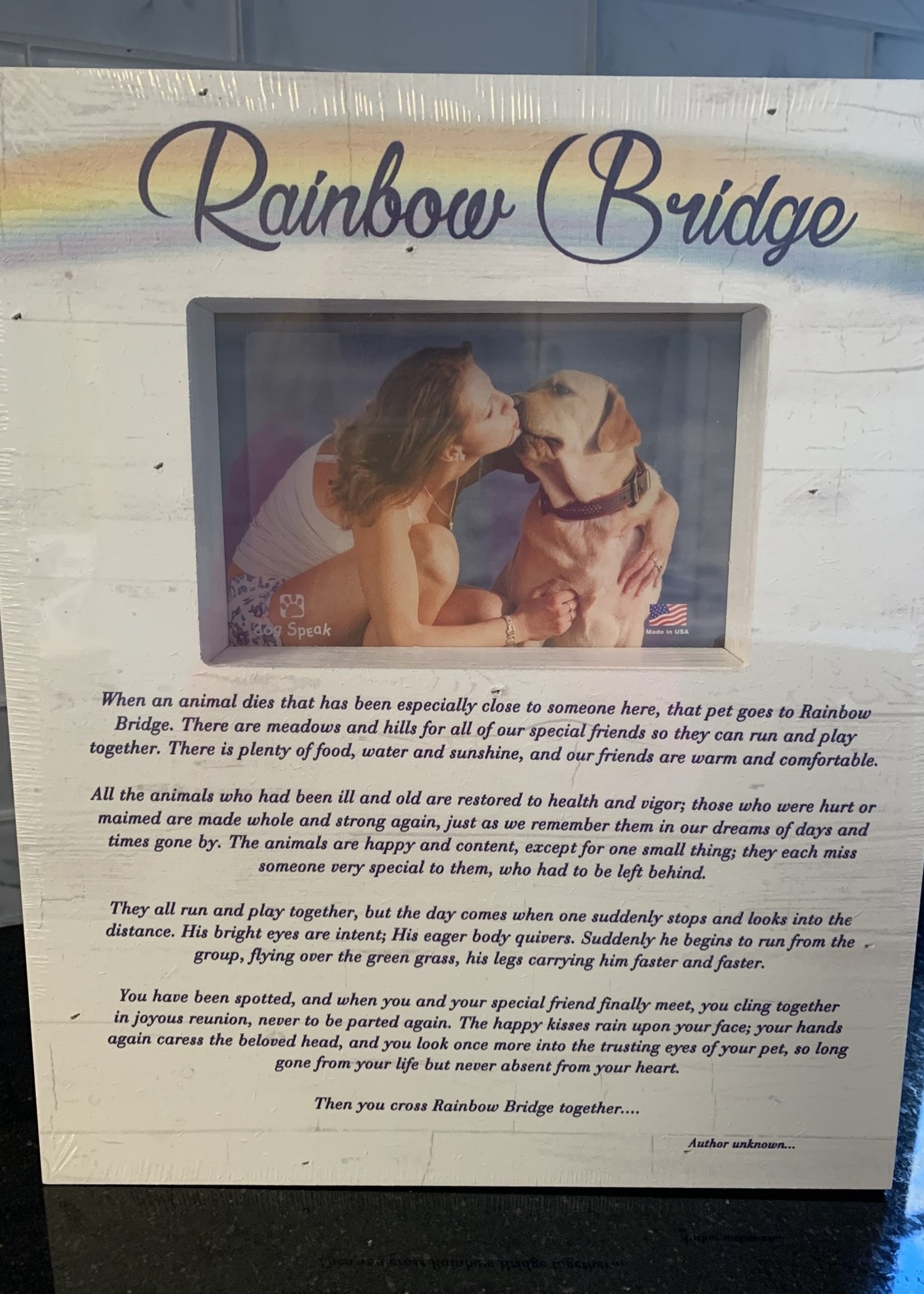 the rainbow bridge poem