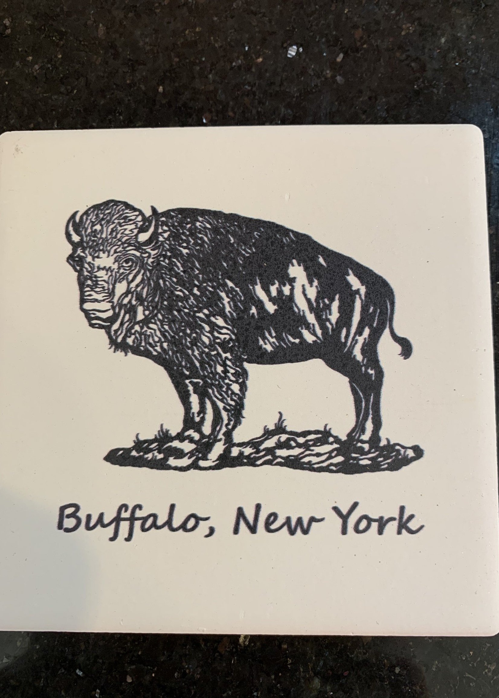 BLACK AND WHITE BUFFALO, NY COASTER