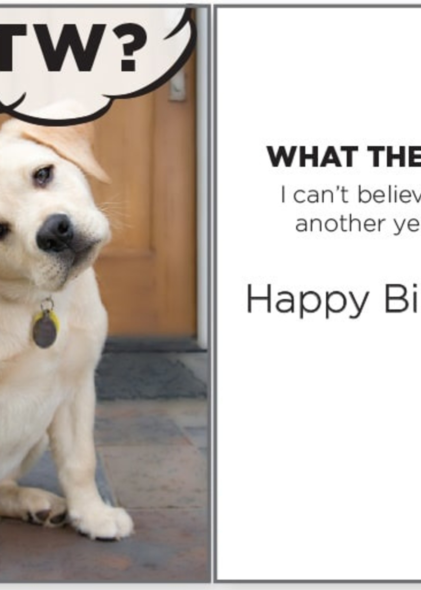 What The Woof Birthday Card