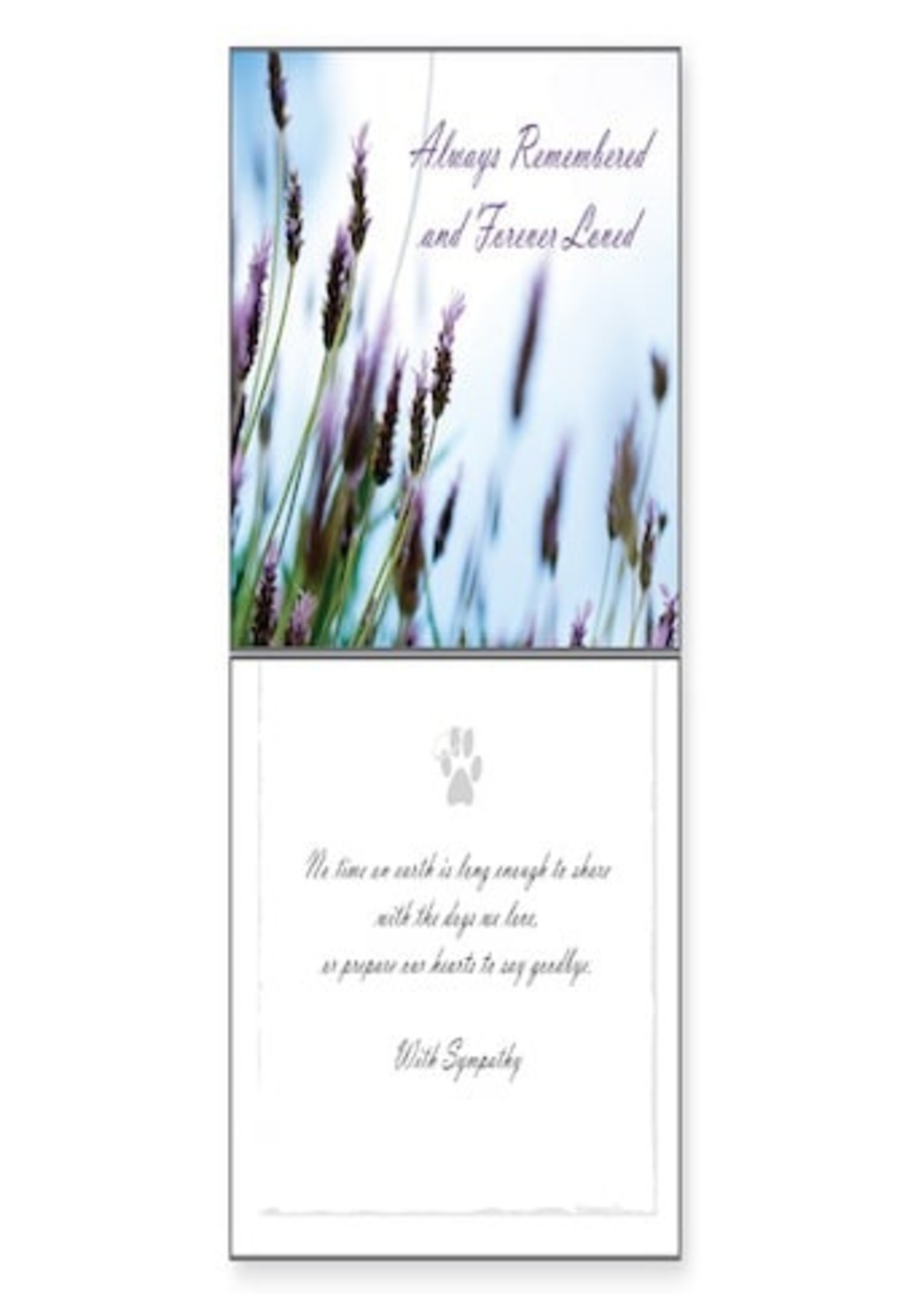 Dogs Always Remembered Sympathy Greeting Card