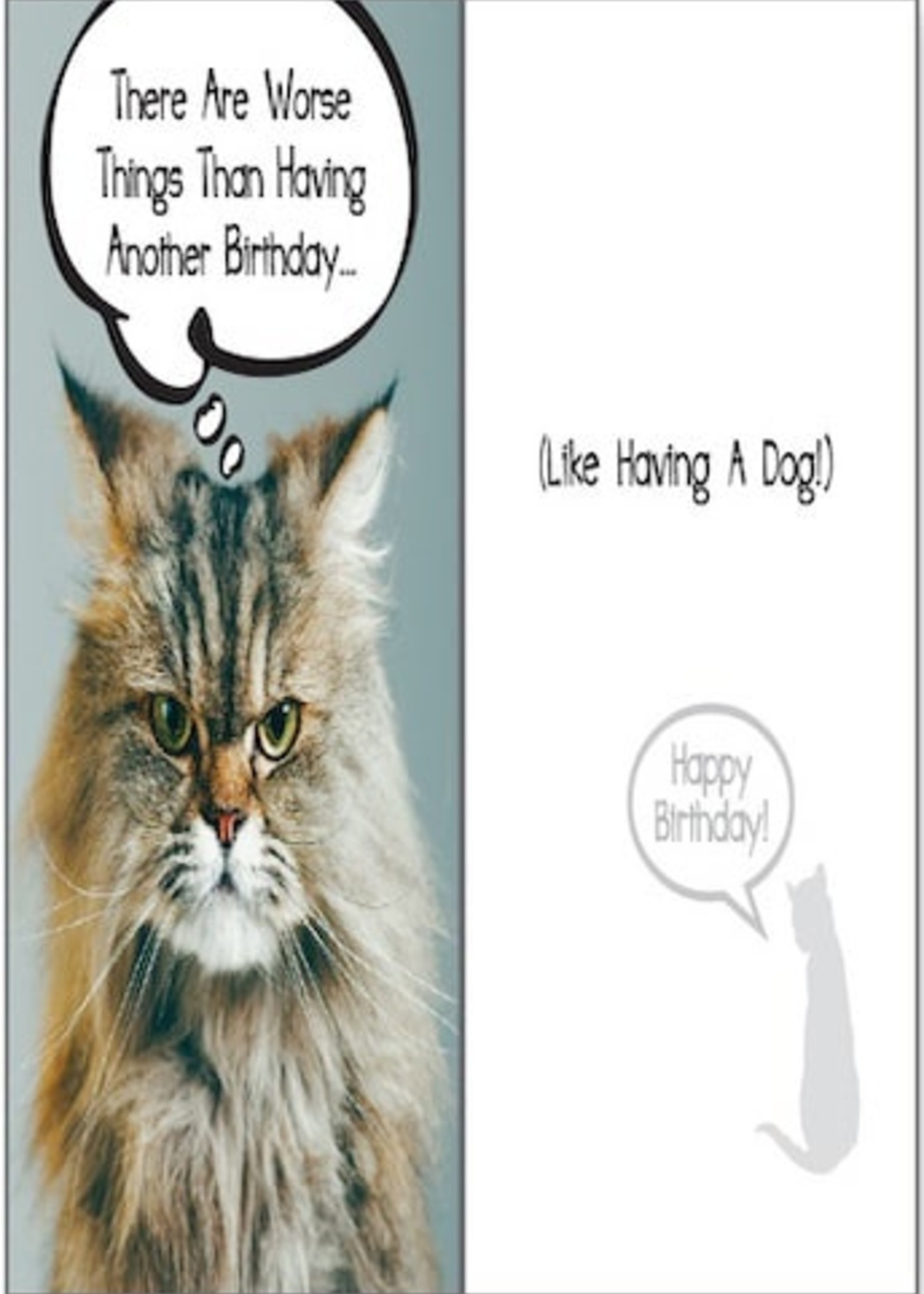 Angry Cat Quote Birthday Card