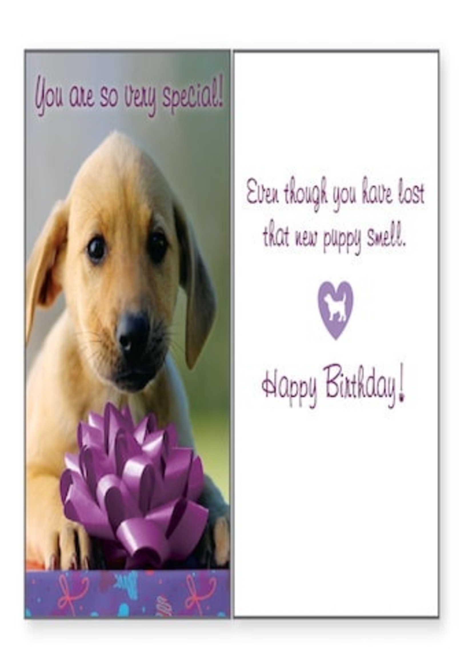 Purple Bow with Dog Birthday Card