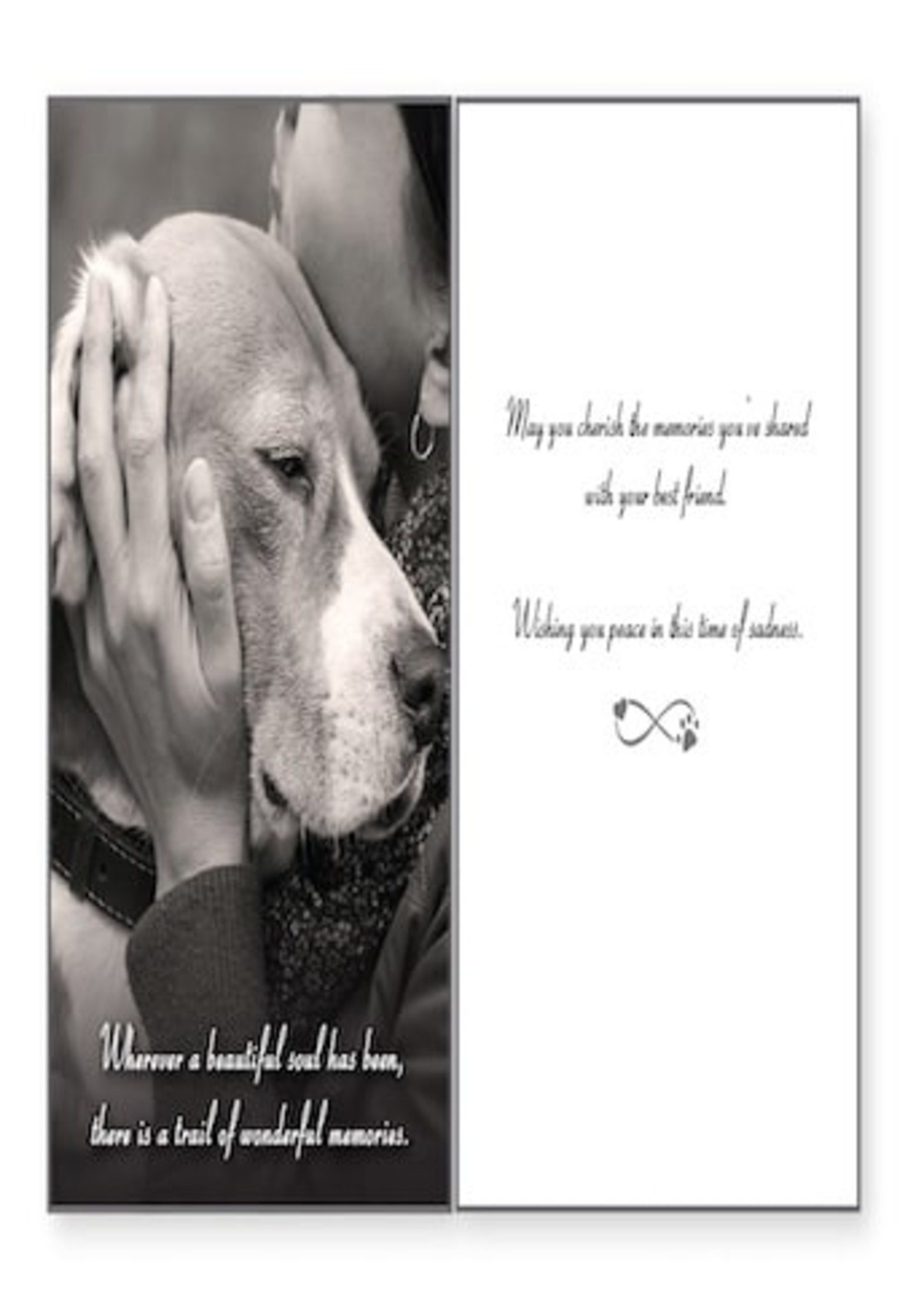 Dog Sympathy Greeting Card  Cardsmart Greetings in Buffalo, NY - CardSmart  Greetings