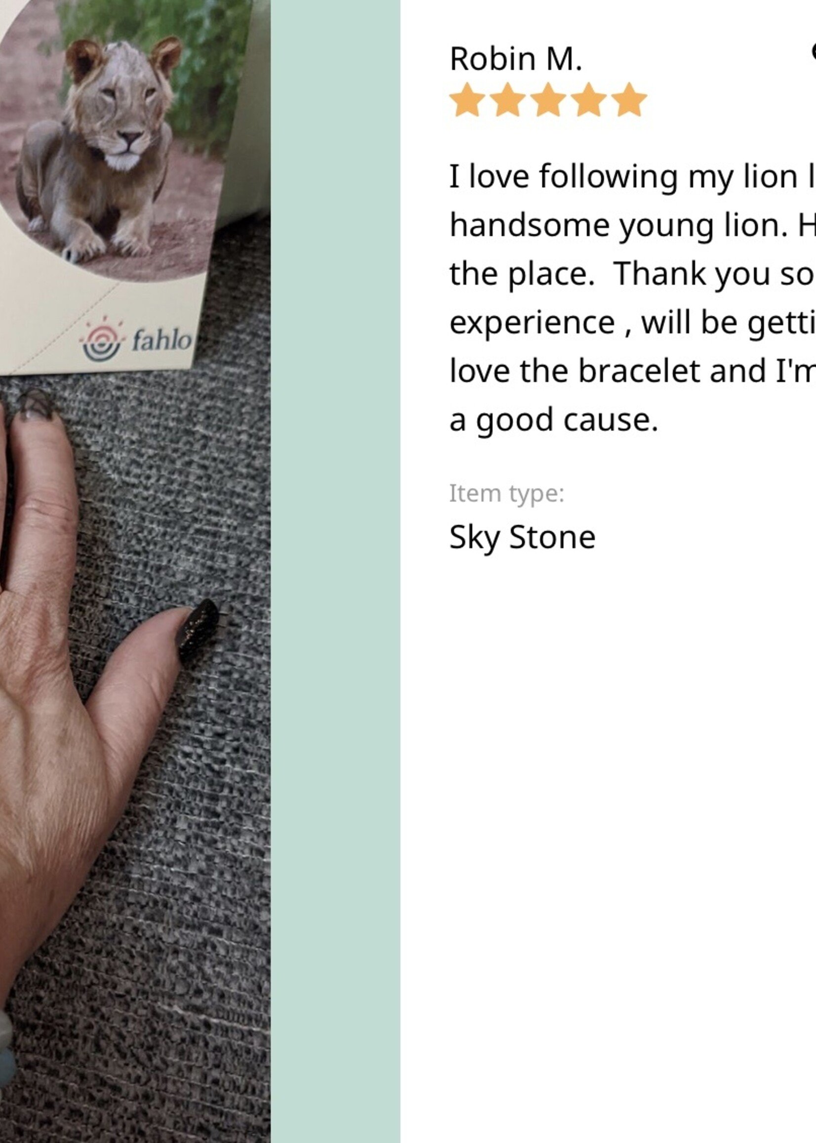 FAHLO EXCURSION BRACELET-LION-LAVA STONE | CARDSMART IN BUFFALO, NY ...