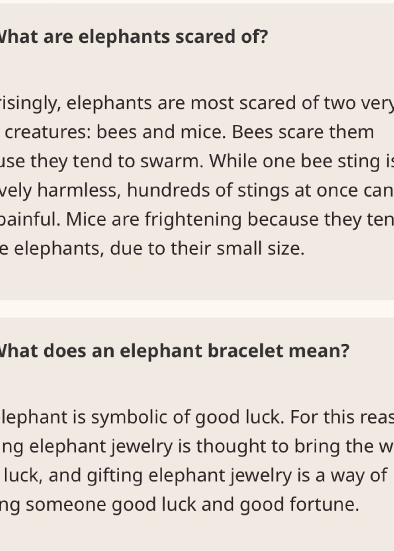 FAHLO EXPEDITION BRACELET-ELEPHANT-DESERT STONE