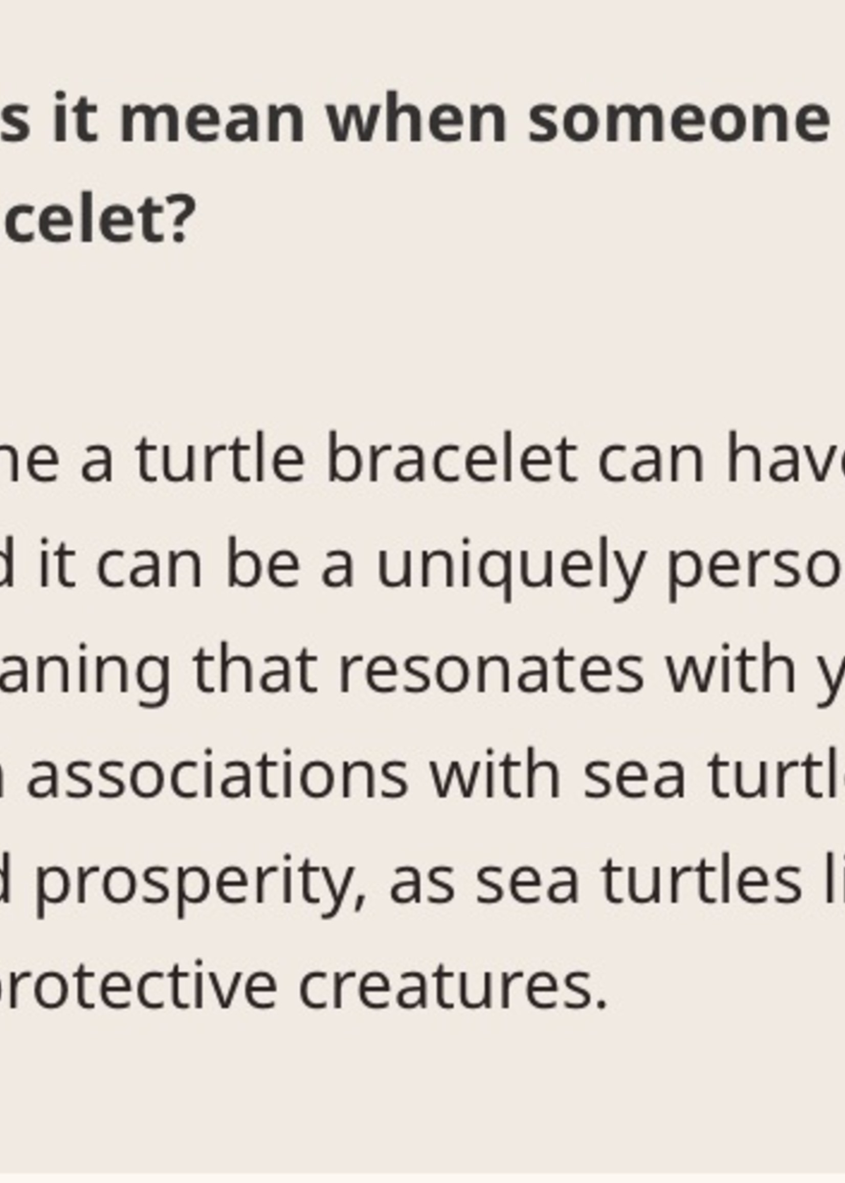 FAHLO JOURNEY BRACELET-TURTLE-SKY STONE